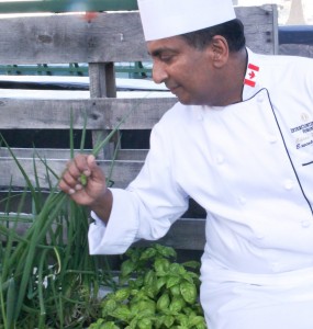 Chef Perera grows herbs, chili peppers, tomatoes, edible flowers, spring onions in the hotel rooftop garden.