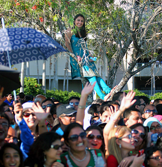 Fans wait for stars to arrive Raymond James Stadium, they climbed on trees and signs to sneak a peak of their heroes.