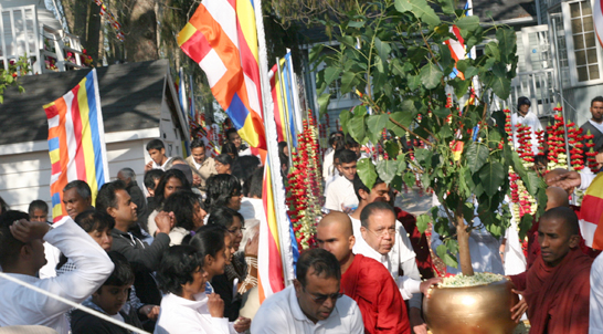 Procession for sacred Bodhi tree in Markham Ontario. (Pictures by Lanka Reporter)