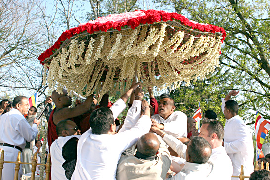 Floral cover for the Bodhi tree is installed by devotees.