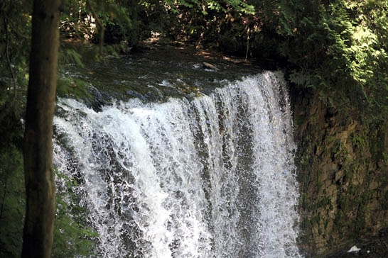 Grey County is home to eight water falls: Hoggs Falls in Flesherton.