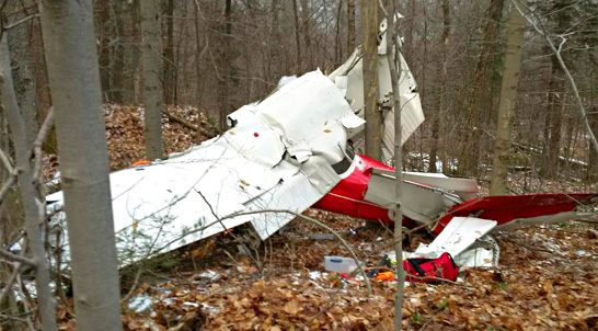 The scene of the plane crash, photo released by OPP.