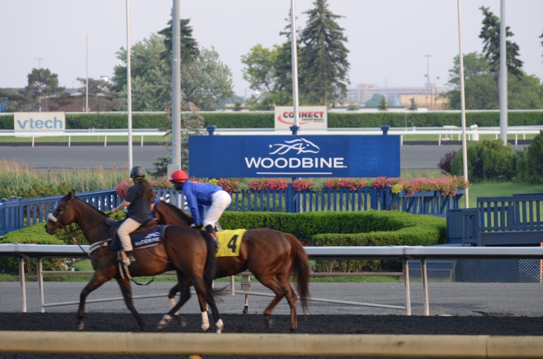 REIC event was held at Woodbine Racetrack.