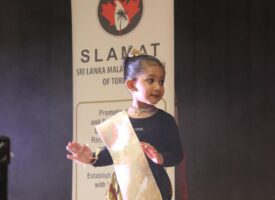 Young cultural performer dancing on stage.